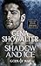 Shadow and Ice (Gods of War, #1)