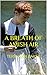 A Breath of Amish Air: A Co...