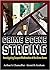 Crime Scene Staging: Investigating Suspect Misdirection of the Crime Scene