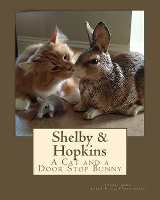 Shelby & Hopkins: A Cat and a Door Stop Bunny (Volume 1)
