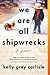 We Are All Shipwrecks