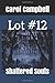 Lot #12: Shattered Souls