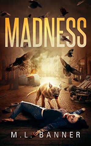 Madness (Madness Chronicles, #1)