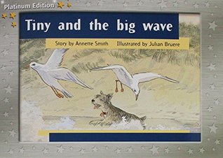 Tiny and the Big Wave (Paperback)