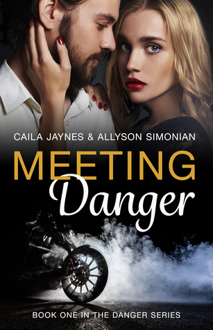 Meeting Danger (Danger, #1)