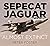 Sepecat Jaguar: Almost Extinct