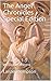 The Angel Chronicles Specia...