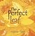 The Perfect Leaf by Andrew Plant