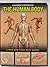 The Human Body