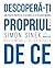 Descoperă-ți propriul de ce. Ghid practic pentru ca tu și echipa ta să vă găsiți menirea