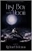 First Boy on the Moon by Richard Holeman