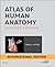 Atlas of Human Anatomy International Edition by Frank H. Netter
