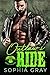 Outlaw’s Ride (Vicious Thri...