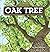 Oak Tree