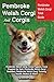 Pembroke Welsh Corgi And Co...