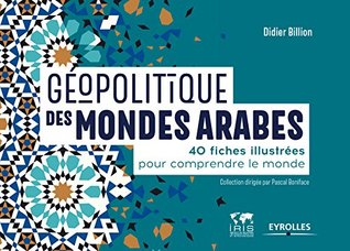 Géopolitique des mondes arabes: 40 fiches illustrées pour comprendre le monde (French Edition)