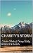 Charity's Storm by Rebecca Dawn