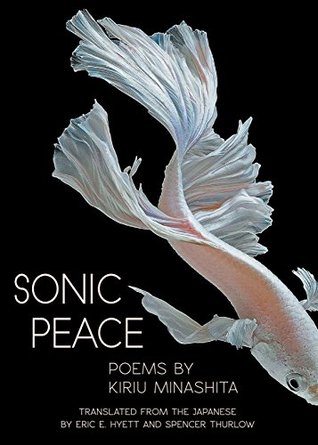 Sonic Peace (Paperback)