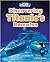Discovering Titanic's Remains