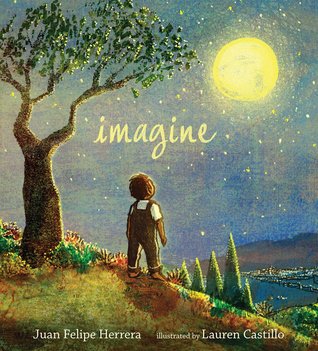 Imagine (Hardcover)