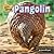 Pangolin