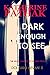 Dark Enough to See (DCI Dan...