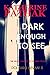 Dark Enough to See (DCI Dani Bevans, #11)