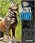 Balto's Story by Kevin Blake