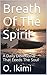 Breath Of The Spirit by O. Ikimi