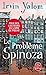 Le Problème Spinoza by Irvin D. Yalom