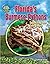 Florida's Burmese Pythons: Squeezing the Everglades (They Don't Belong: Tracking Invasive Species)