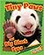 Tiny Paws and Big Black Eyes (Giant Panda) (Whose Little Baby Are You?)