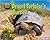 Desert Tortoise's Burrow (Hole Truth! Underground Animal Life)