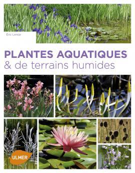 Plantes aquatiques et de terrains humides