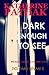 Dark Enough to See (DCI Dani Bevans, #11)