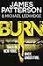 Burn (Michael Bennett #7)