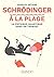 Schrödinger à la plage by Charles  Antoine