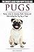 Pugs - The Owner's Guide from Puppy to Old Age - Choosing, Caring for, Grooming, Health, Training and Understanding Your Pug Dog or Puppy