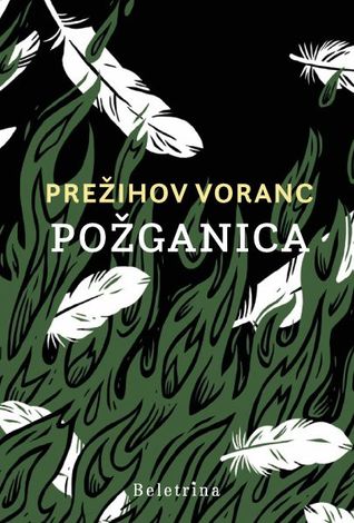 Požganica : Roman iz prevratnih dni