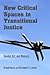 New Critical Spaces in Transitional Justice by Arnaud Kurze