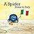 A Spider Goes to Italy by Jenifer Harris