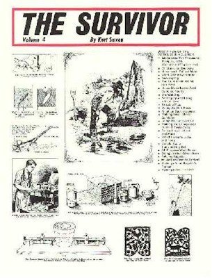 Survivor (Paperback)