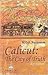 Calicut : the city of truth...