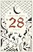28