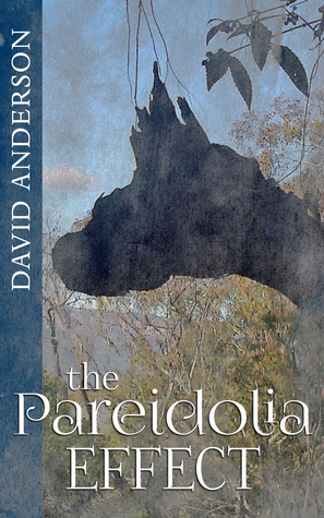 The Pareidolia Effect (Kindle Edition)