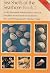 Seashells of the Seashore