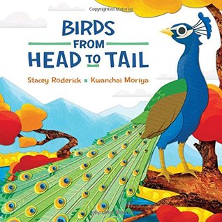 Birds from Head to Tail (Hardcover)