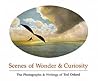 Scenes of Wonder & Curiosity: Hutchings' California Magazine, 1856-1861 Scenes of Wonder & Curiosity: Hutchings' California Magazine, 1856-1861