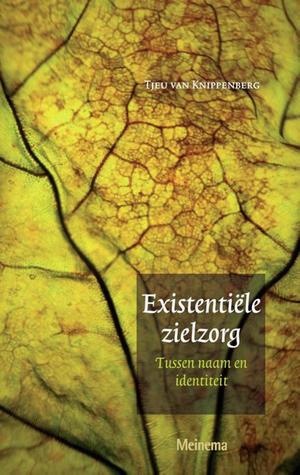 Existentiële zielzorg: Tussen naam en identiteit (Paperback)
