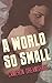 A World So Small (The World After Series Book 1)